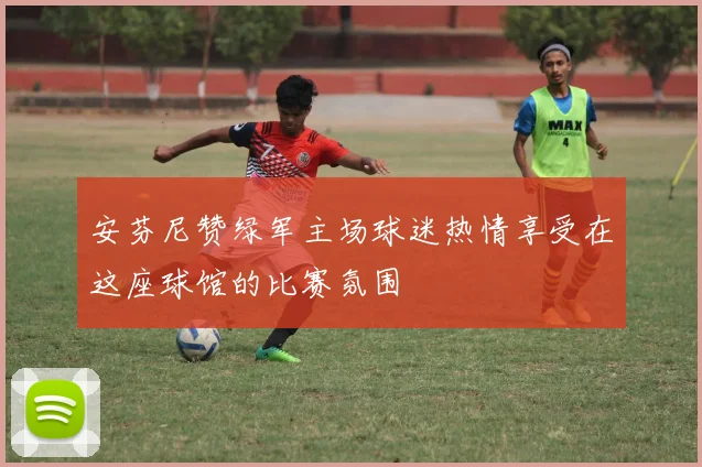 安芬尼赞绿军主场球迷热情享受在这座球馆的比赛氛围