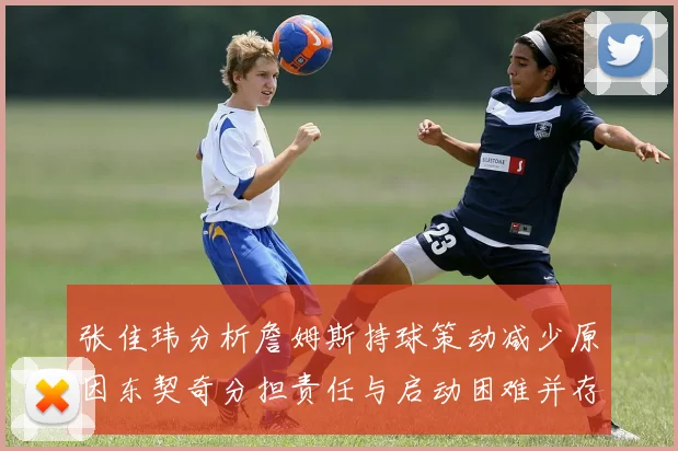 张佳玮分析詹姆斯持球策动减少原因东契奇分担责任与启动困难并存