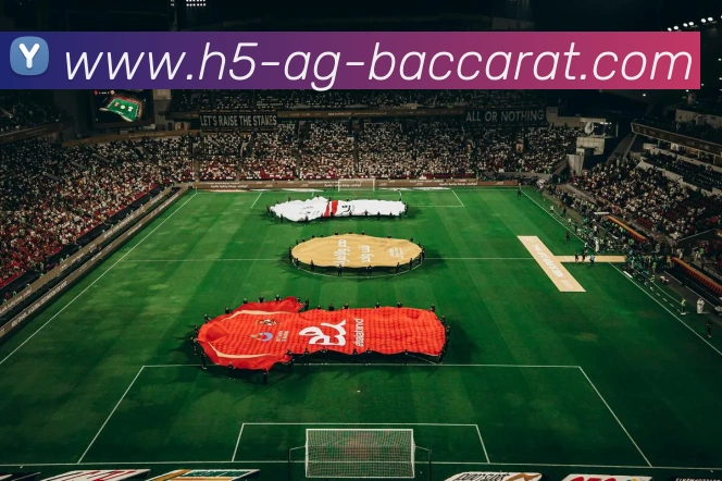 AG百家乐品牌故事